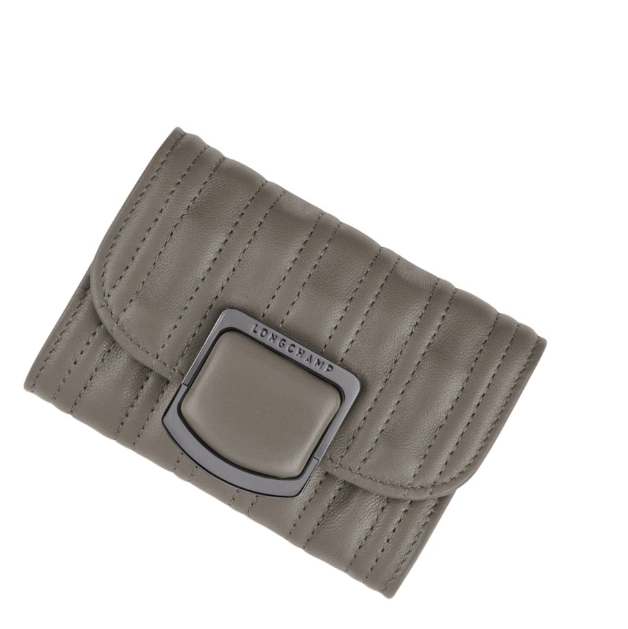 Tarjeteros Longchamp Brioche Mujer Gris | ES-BSYZ068