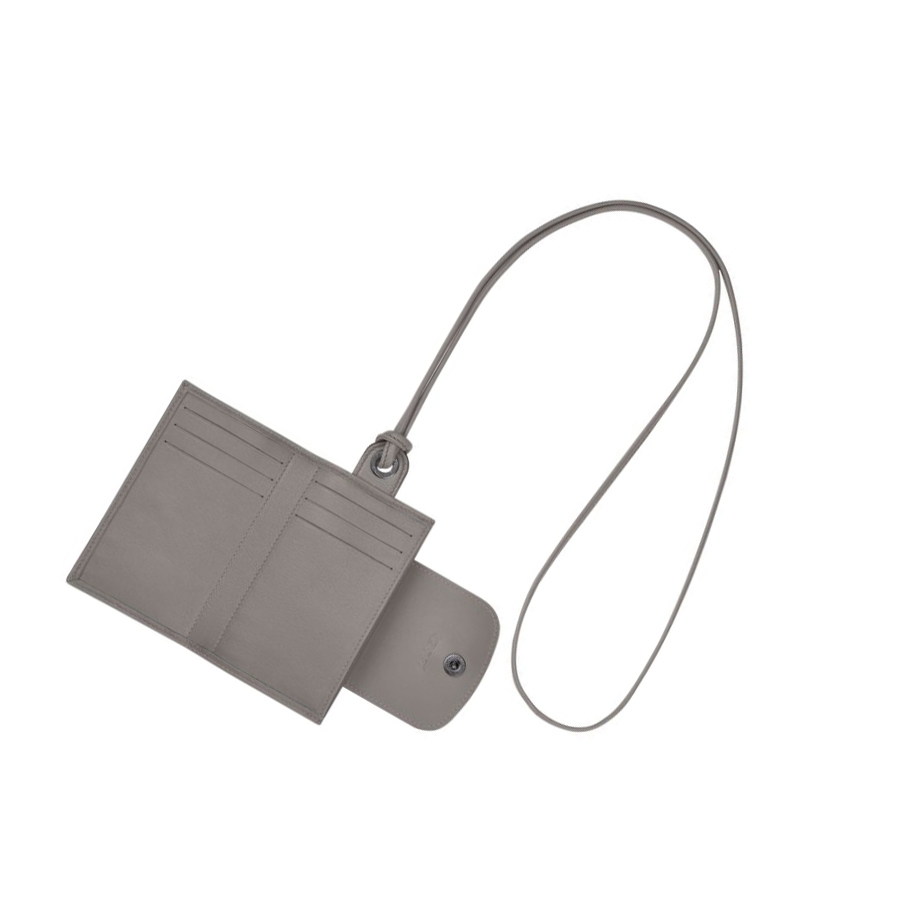 Tarjeteros Longchamp Le Pliage Cuir Mujer Gris | ES-MFYI768