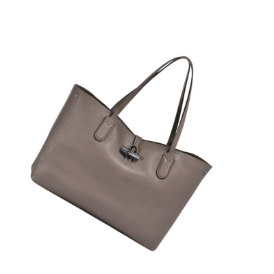 Bolsa De Hombro Longchamp Roseau Essential Mujer Gris | ES-RDWY136