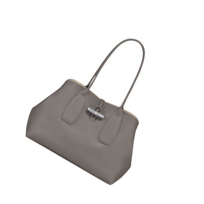 Bolsa De Hombro Longchamp Roseau Mujer Gris | ES-JANE597