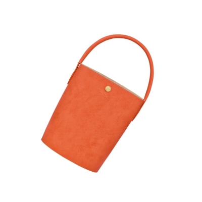 Bolsas De Mano Longchamp Cuir De Russie Mujer Naranjas | ES-GJZK892