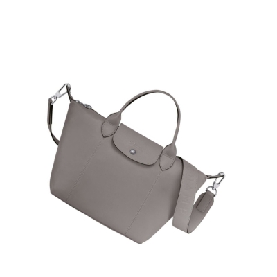 Bolsas De Mano Longchamp Le Pliage Cuir S Mujer Gris | ES-XRHA891