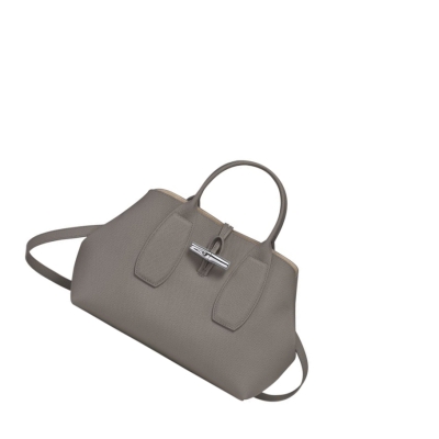 Bolsas De Mano Longchamp Roseau M Mujer Gris | ES-XPNT198