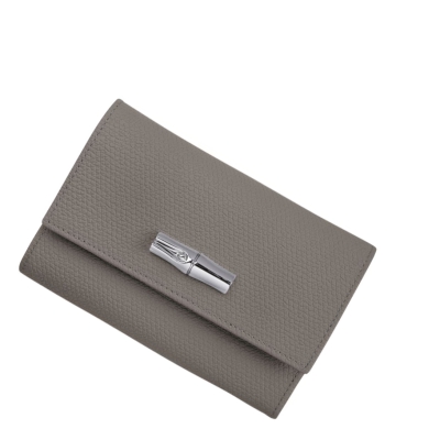 Carteras Longchamp Roseau Mujer Gris | ES-NKTO608